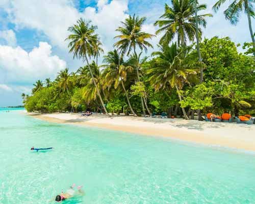 Tropical Bliss Lakshadweep